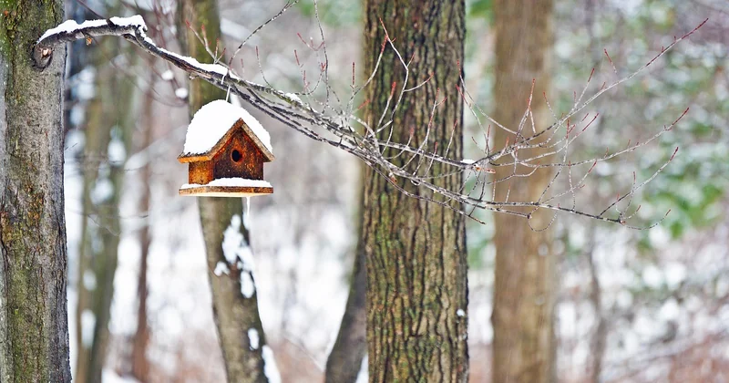 Tagesausflug Hessen im Winter: die unterschätzte Saison