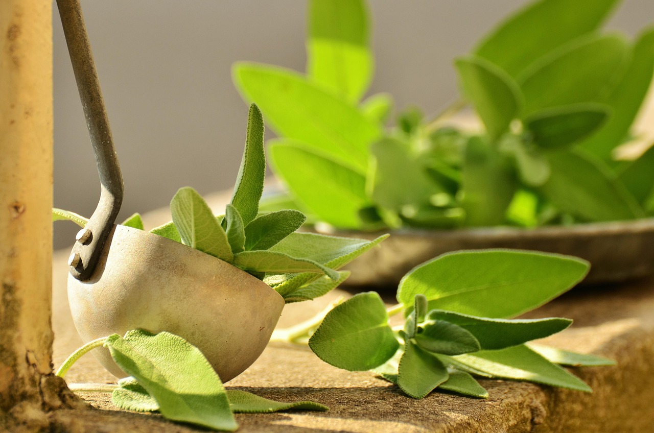 entdecken sie die heilenden kräuter, die körper und geist stärken. erfahren sie mehr über ihre anwendung, vorteile und rezepturen für ein gesundes leben.
