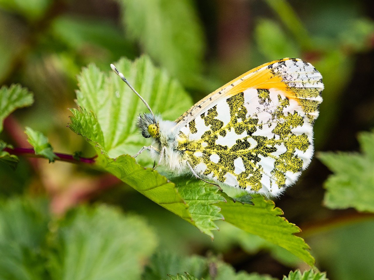 karrieretipps: praktische ratschläge und strategien für den beruflichen erfolg und die persönliche weiterentwicklung.
