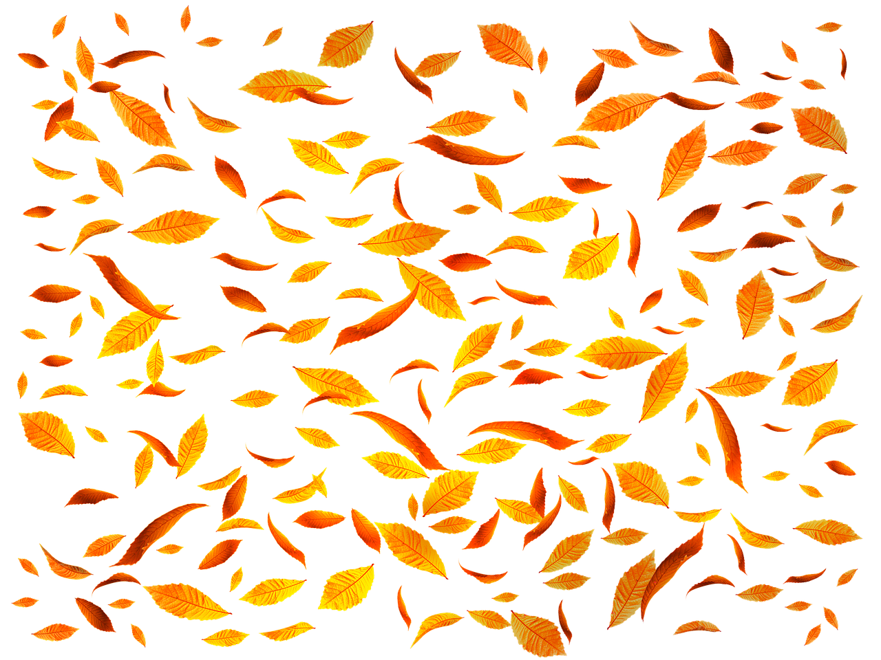 erfahren sie mehr über transparenz und deren bedeutung für vertrauen und offenheit in verschiedenen lebensbereichen.